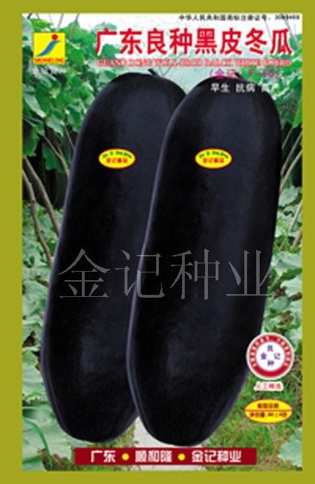 供应黑皮冬瓜种子